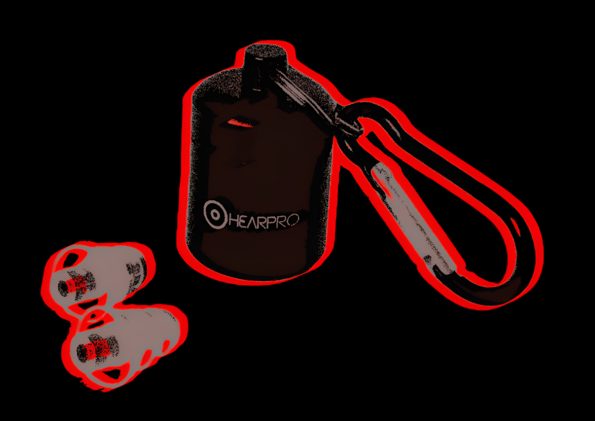 Hearpro protective earbuds with Black carry case