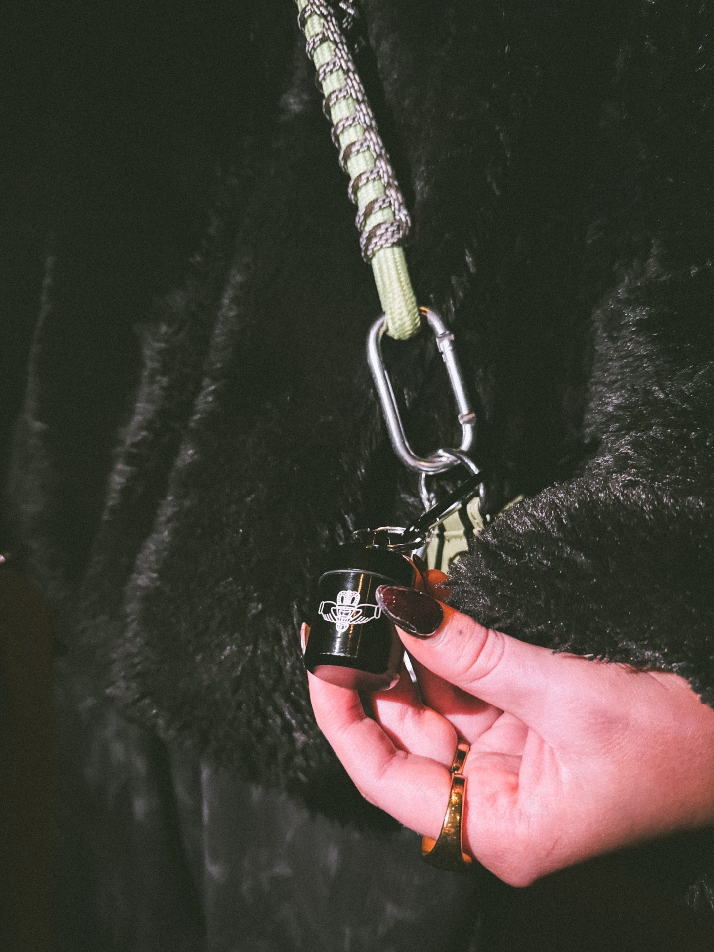 Hearpro protective earbuds with Limited Edition carry case (Claddagh)