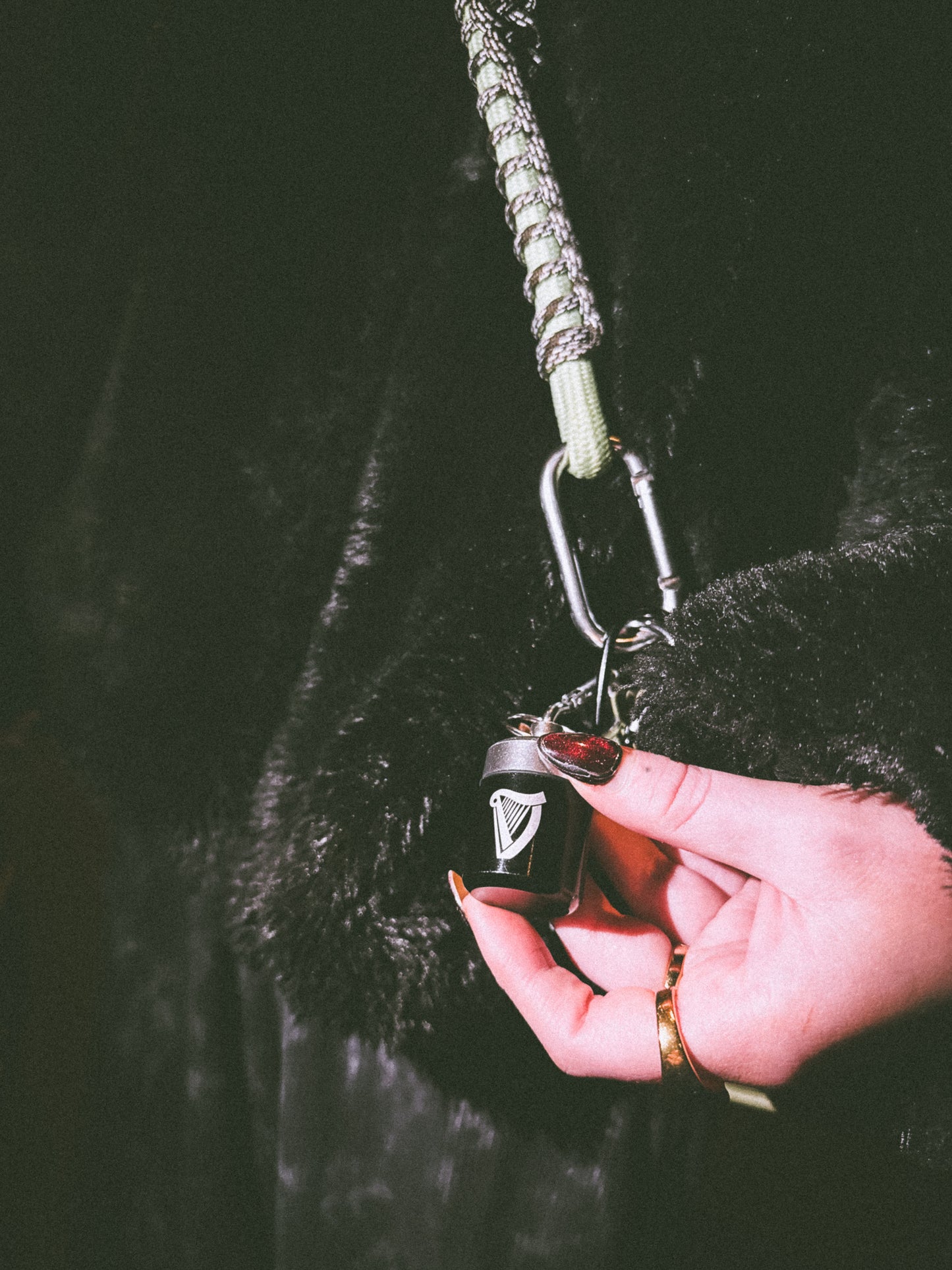 Hearpro protective earbuds with Limited Edition carry case(Harp)